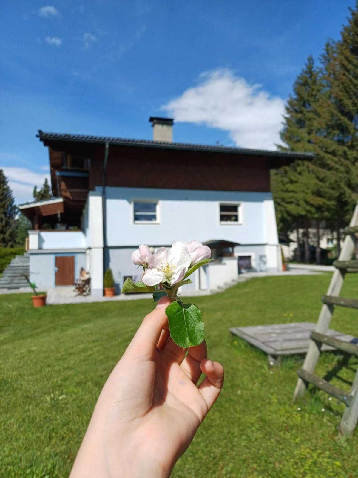 Appartements Am See Neukirchen am Großvenediger Exterior photo